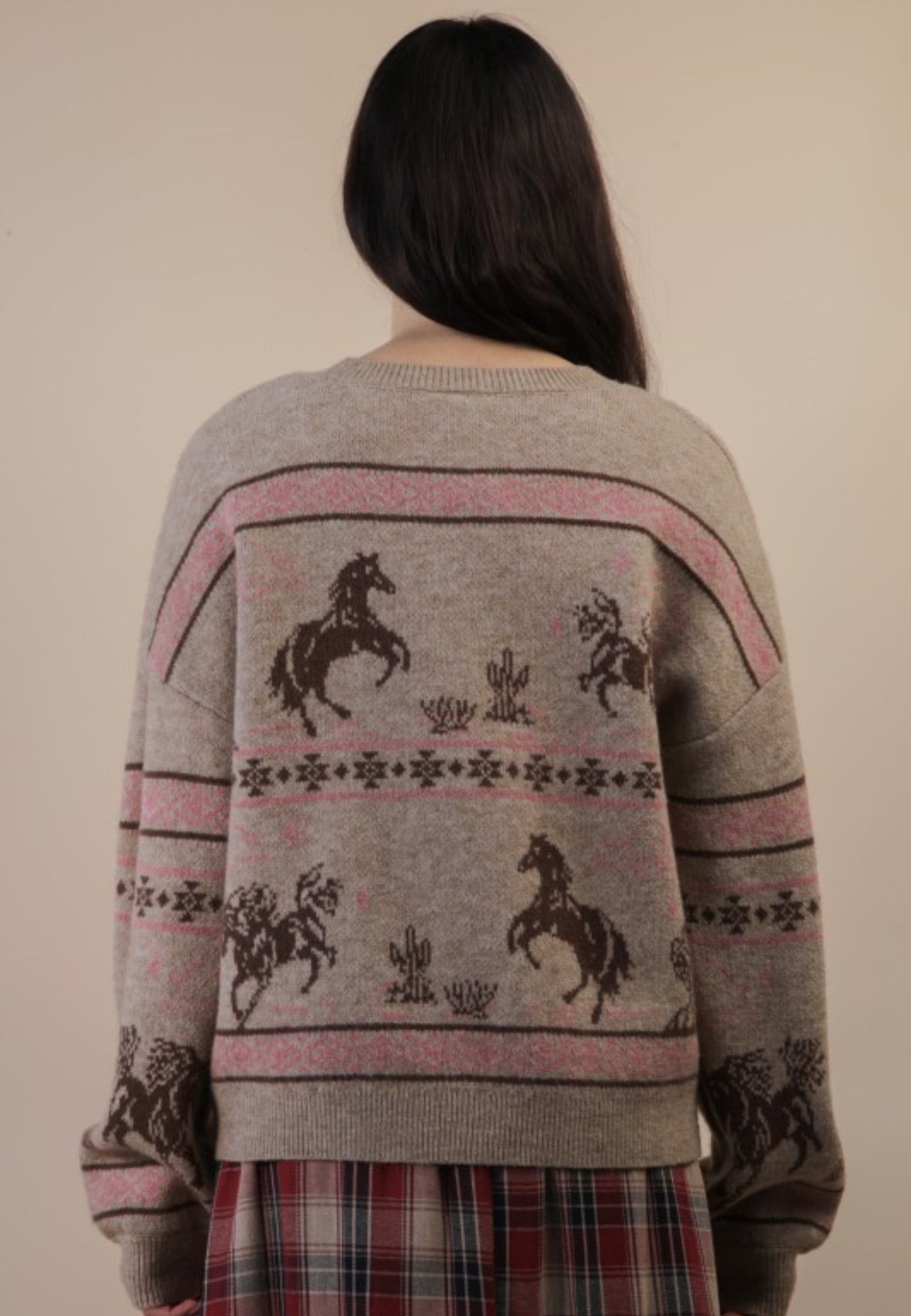 Western Graphic Knit Sweater
