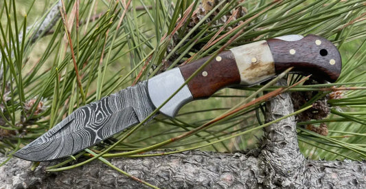 Damascus pocket knife Walnut wood & stag knife TF-019