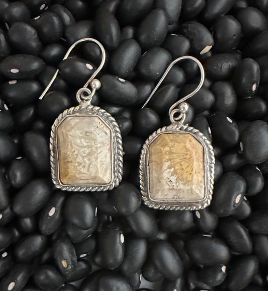 Fossilized Coral & Sterling silver dangle ankles