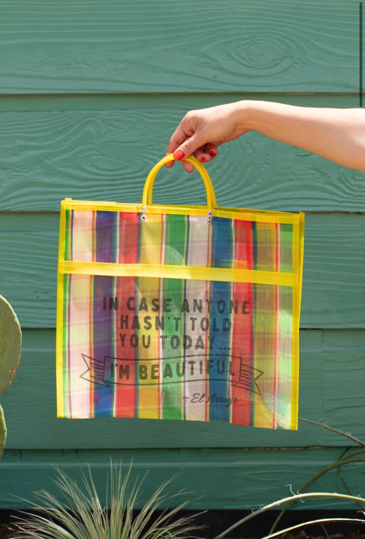 Beautiful Mesh Market Tote