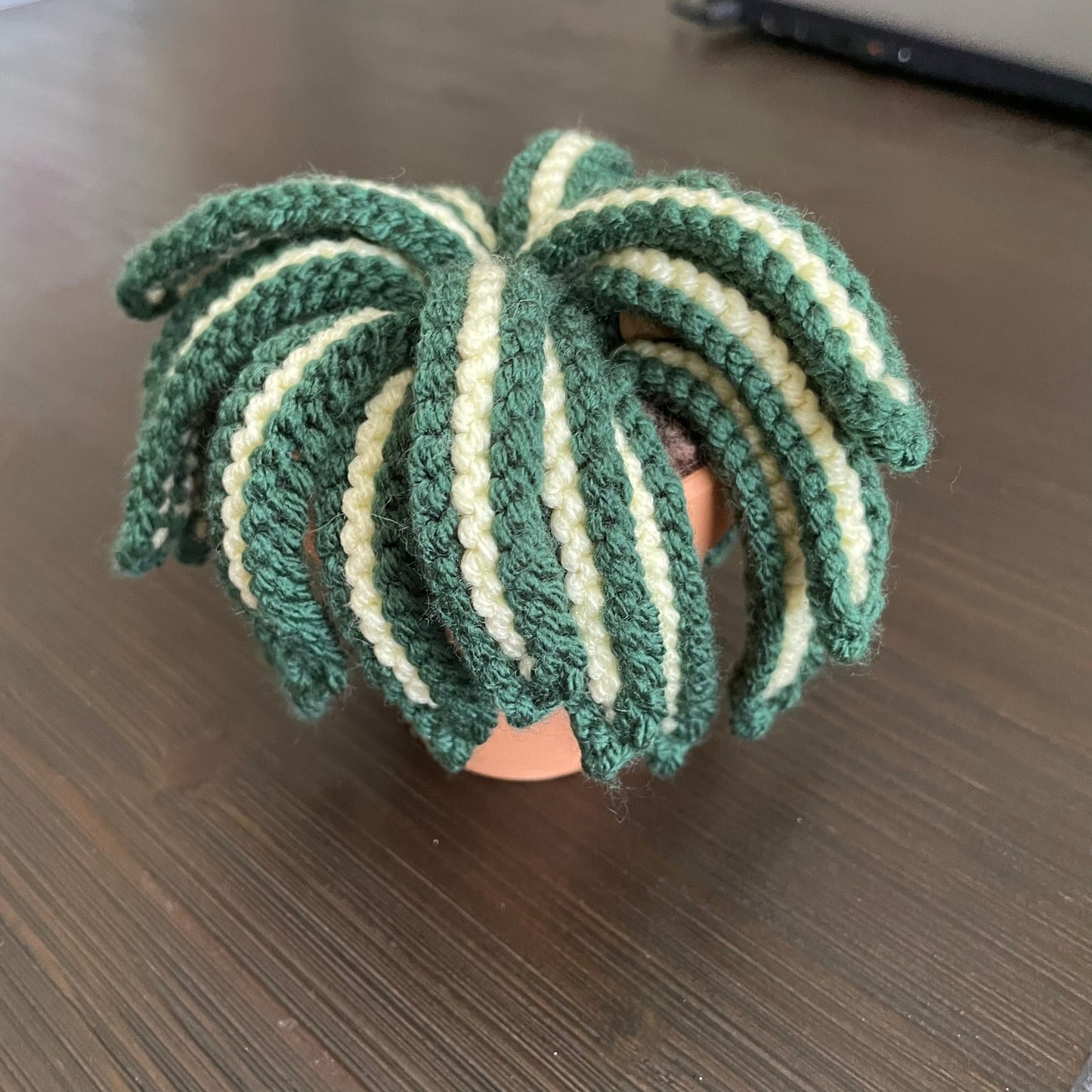 Hand Knit Spider Plant