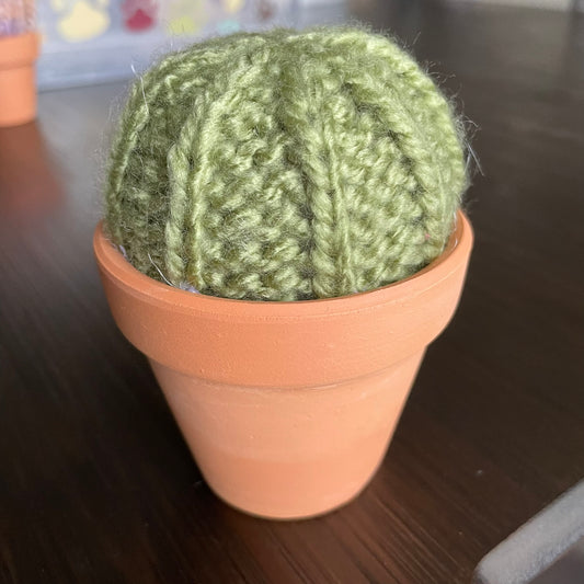 Medium Barrel Cactus Light Green