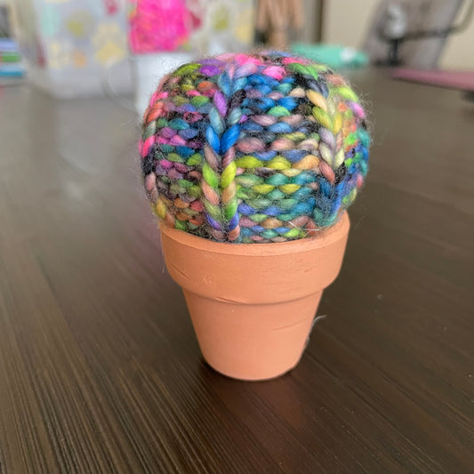 Mini Cactus Ball Multi Color