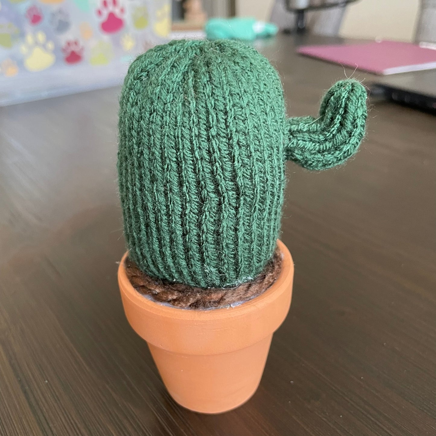 Medium One Flex Arm Cactus