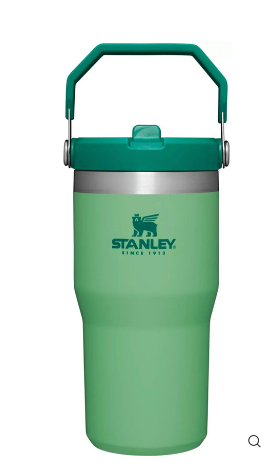 Stanley Jade 20oz Flip Straw Tumbler